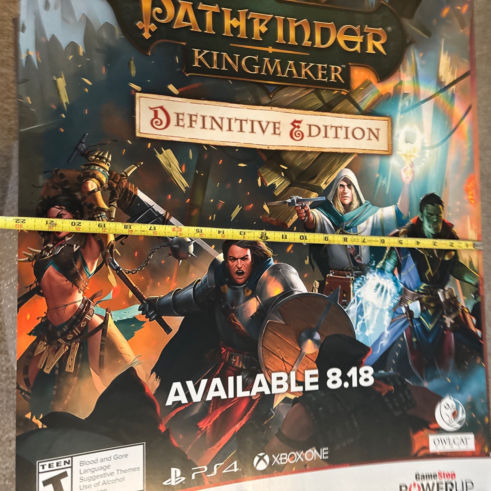 promotional Poster ￼Pathfinder: Kingmaker Xbox One & PS4 28in’s/22in’s Huge!
