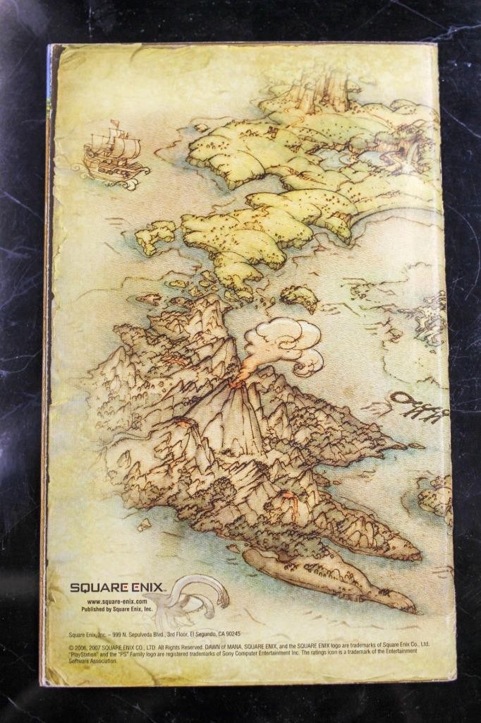 NO GAME- Dawn of Mana REG CARD PLAYSTATION 2 PS2 Authentic Manual Only
