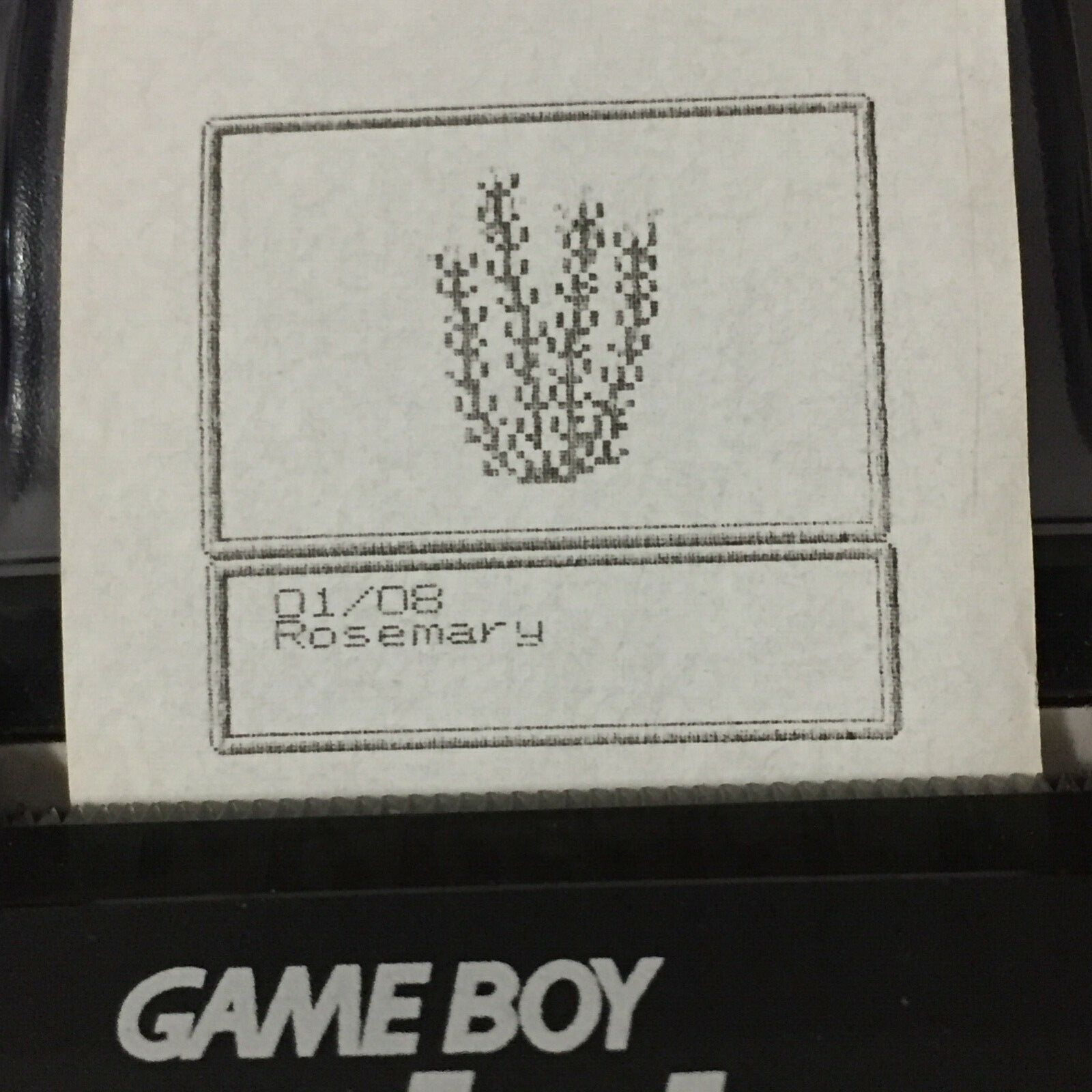 Harvest Moon 2 (GBC) ALL Photos – Game boy Printer Print-outs (64)