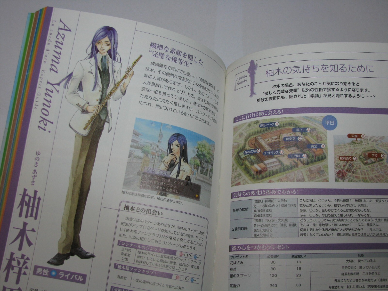 Kiniro no Corda La Corda D’oro PS2 Expert Guide Book Japan import US Seller