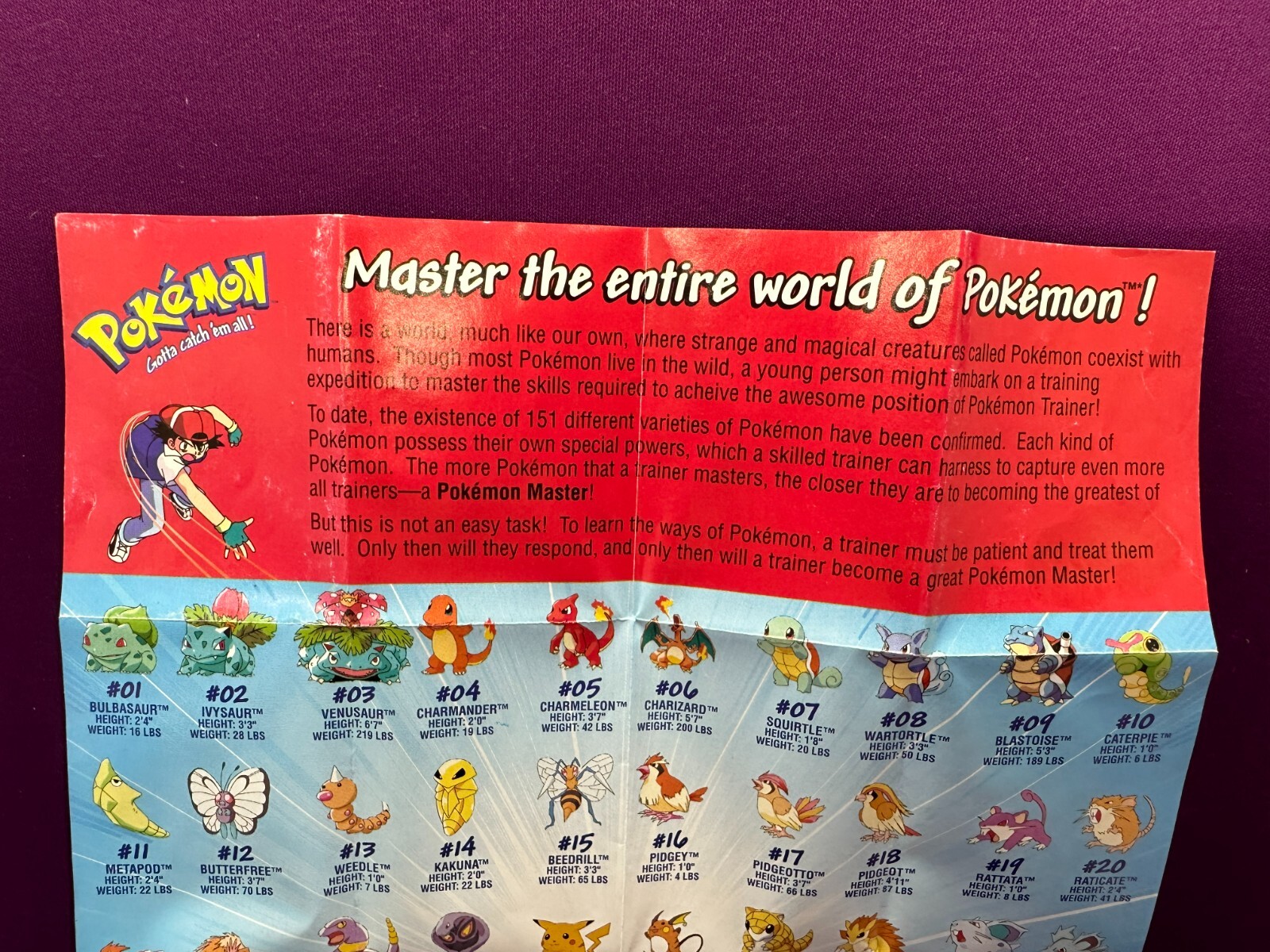 Vintage PKM Master the Entire World of PokemonFold-OutPokedex 1999*CCGHouse*BJ