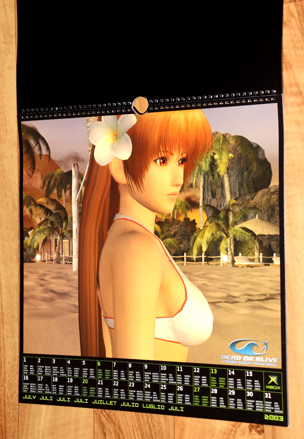 2003 Dead or Alive Xtreme Beach Volleyball Very Rare Calendar Collectible