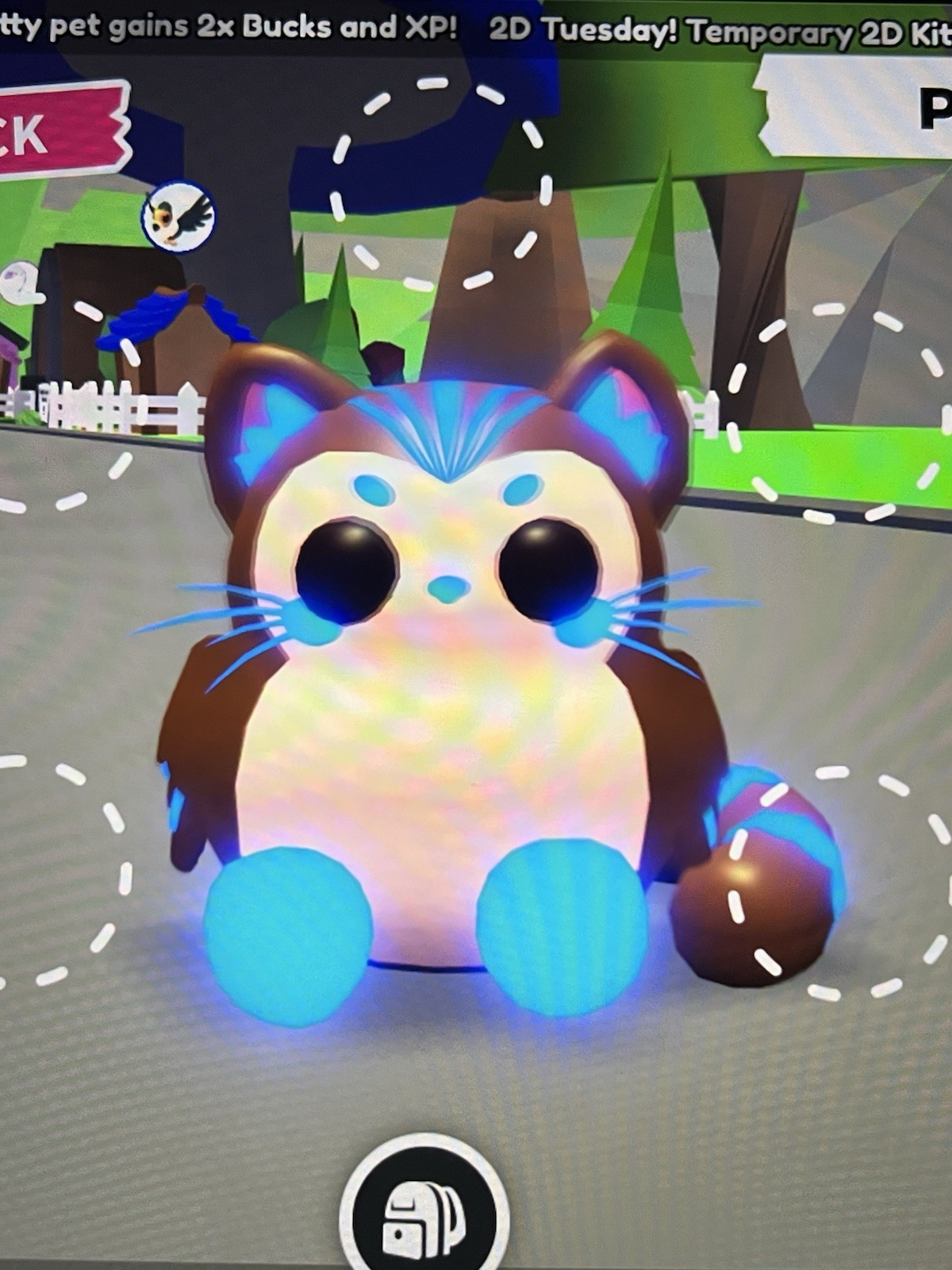 NFR neon PURROWL adopt me ROBLOX