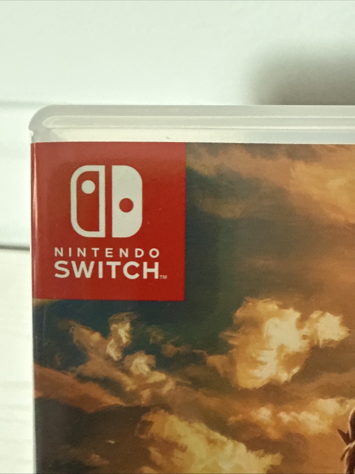 The Legend of Zelda: Breath of the Wild – Nintendo Switch EUC Adult Owned