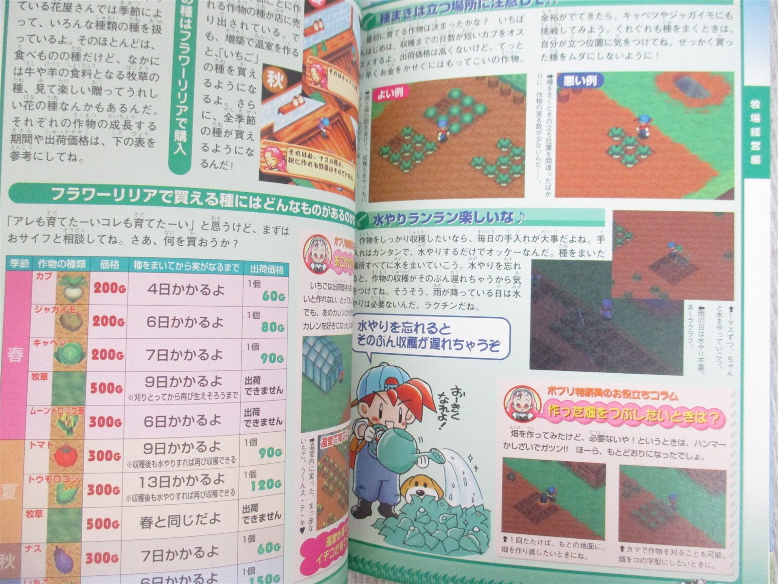 BOKUJOU MONOGATARI 2 Harvest Moon Guide Nintendo 64 Book 1999 Japan MW