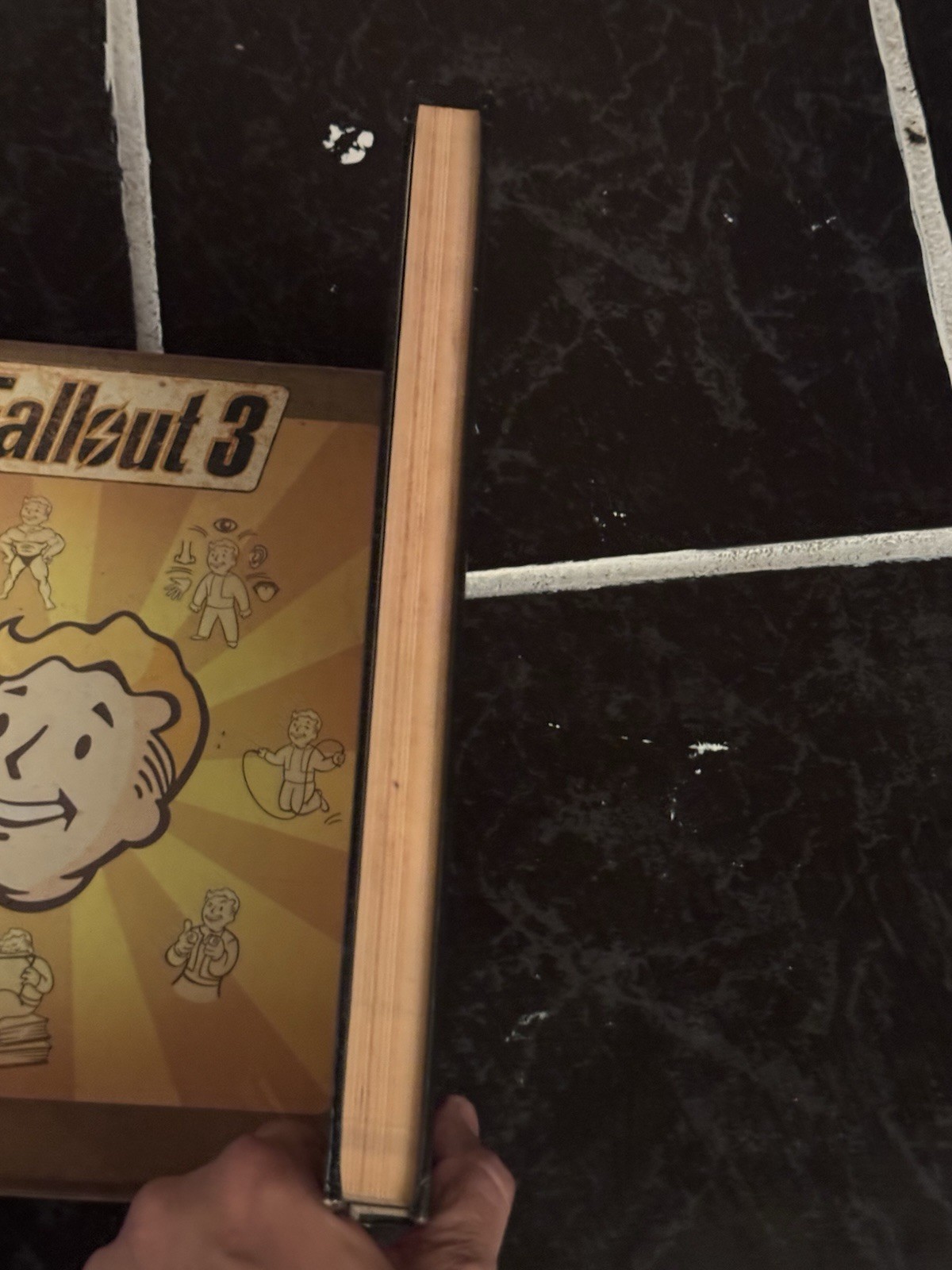 Lot Of 2- Fallout 3 And Fallout New Vegas Limited Edition Collector Edition