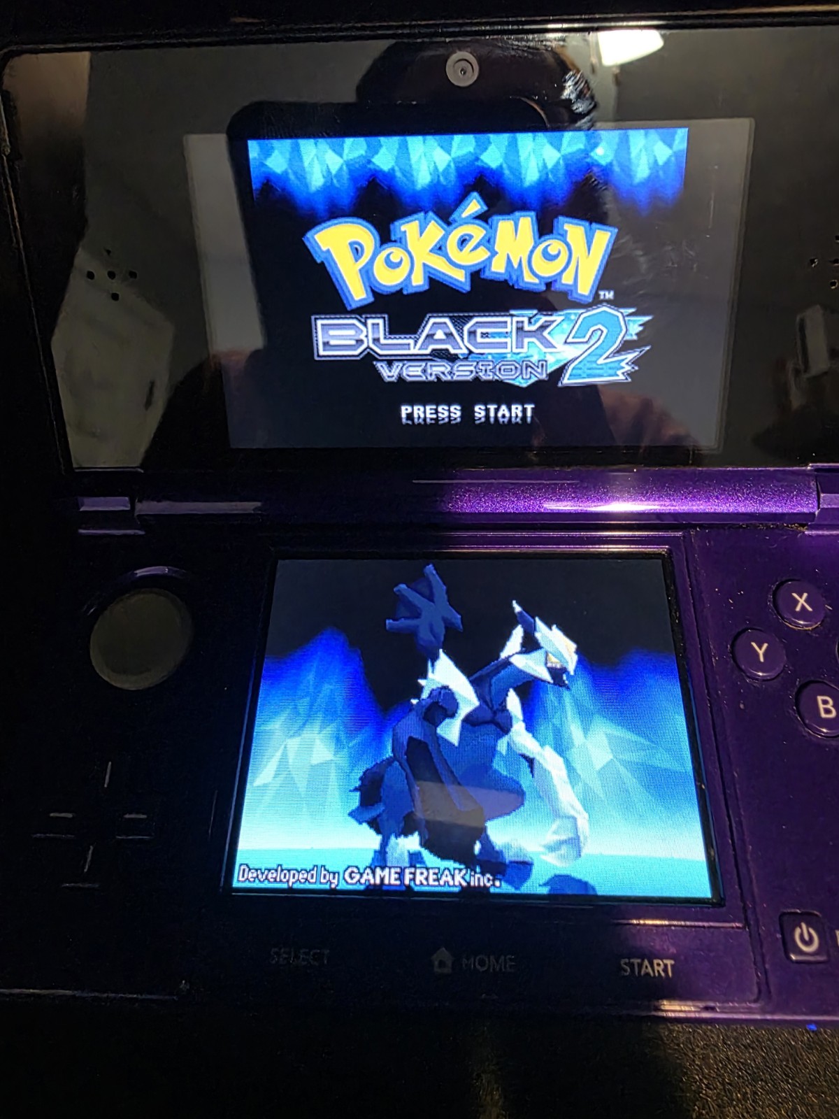 Pokémon Black Version 2 (Nintendo DS, 2012) Cart Only Authentic