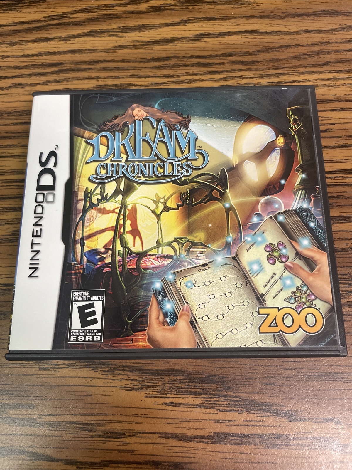 Dream Chronicles (Nintendo DS, 2010)
