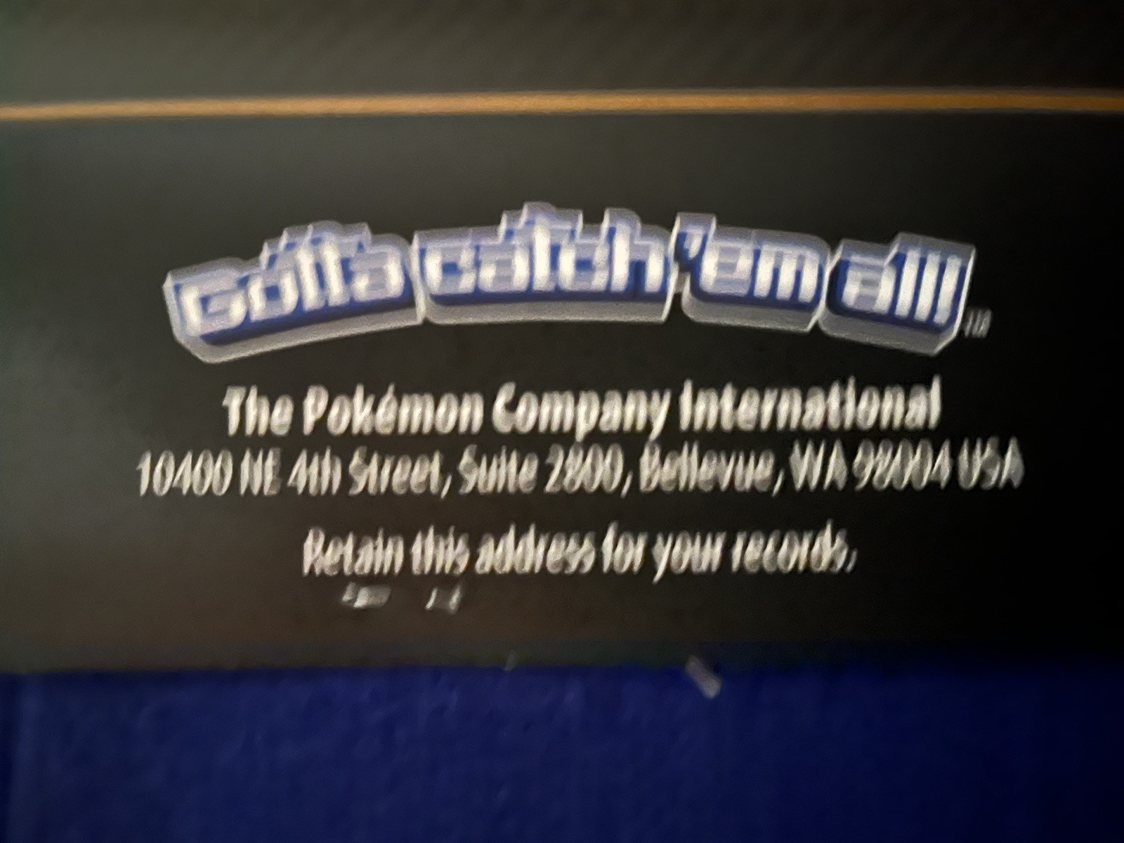 SOBBLE Galar First Partner 27.5” Blue Felt Wool Banner The Pokemon Company-NEW