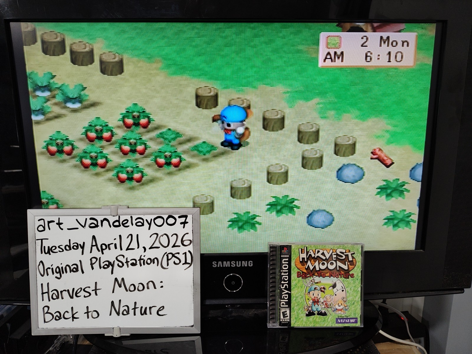 Harvest Moon: Back to Nature (PS1, 2000) *CIB w/ Reg Card + Case Protector* VGC