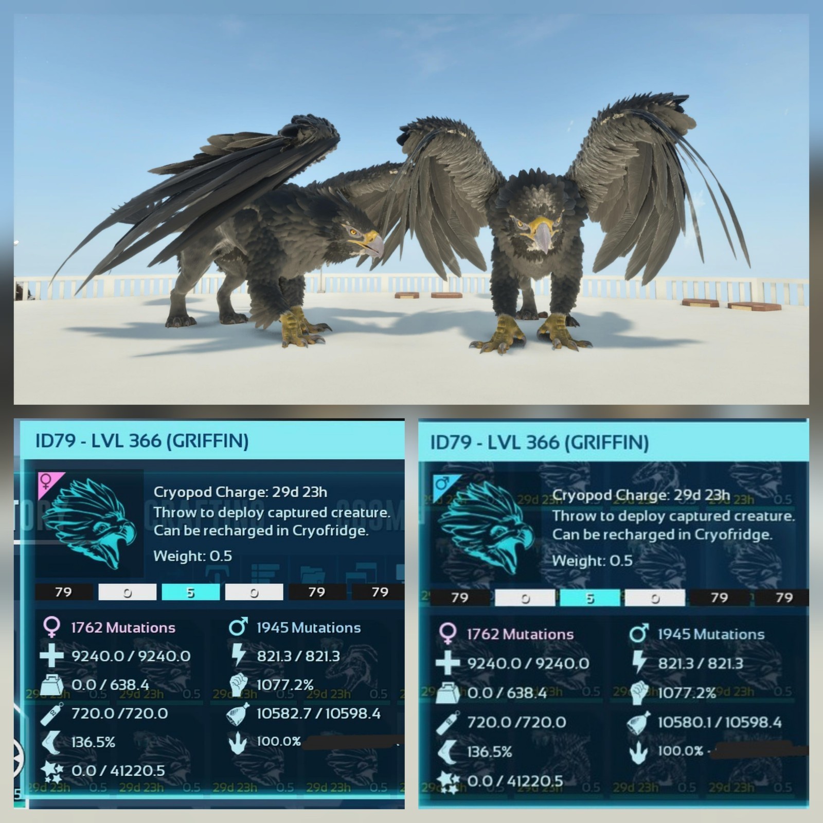 TOP BLACK #79 ADULT PAIR 100% IMPRINT ASCENDED PVE PC/XBOX/PS5