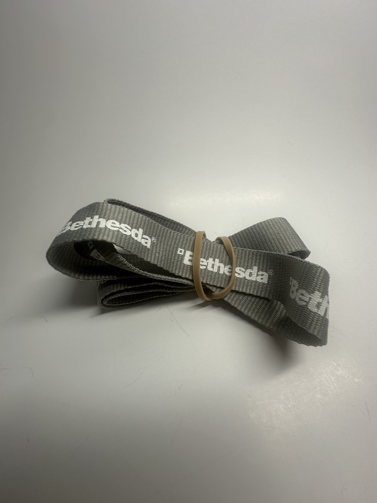 Rare Bethesda Lanyard and Pin Set – Elder Scrolls, Wolfenstein, The Evil Within