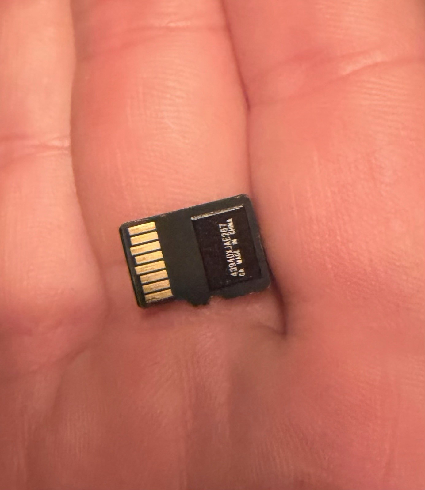 SanDisk 1TB microSDXC Memory Card for Nintendo Switch – Nintendo Switch Licensed