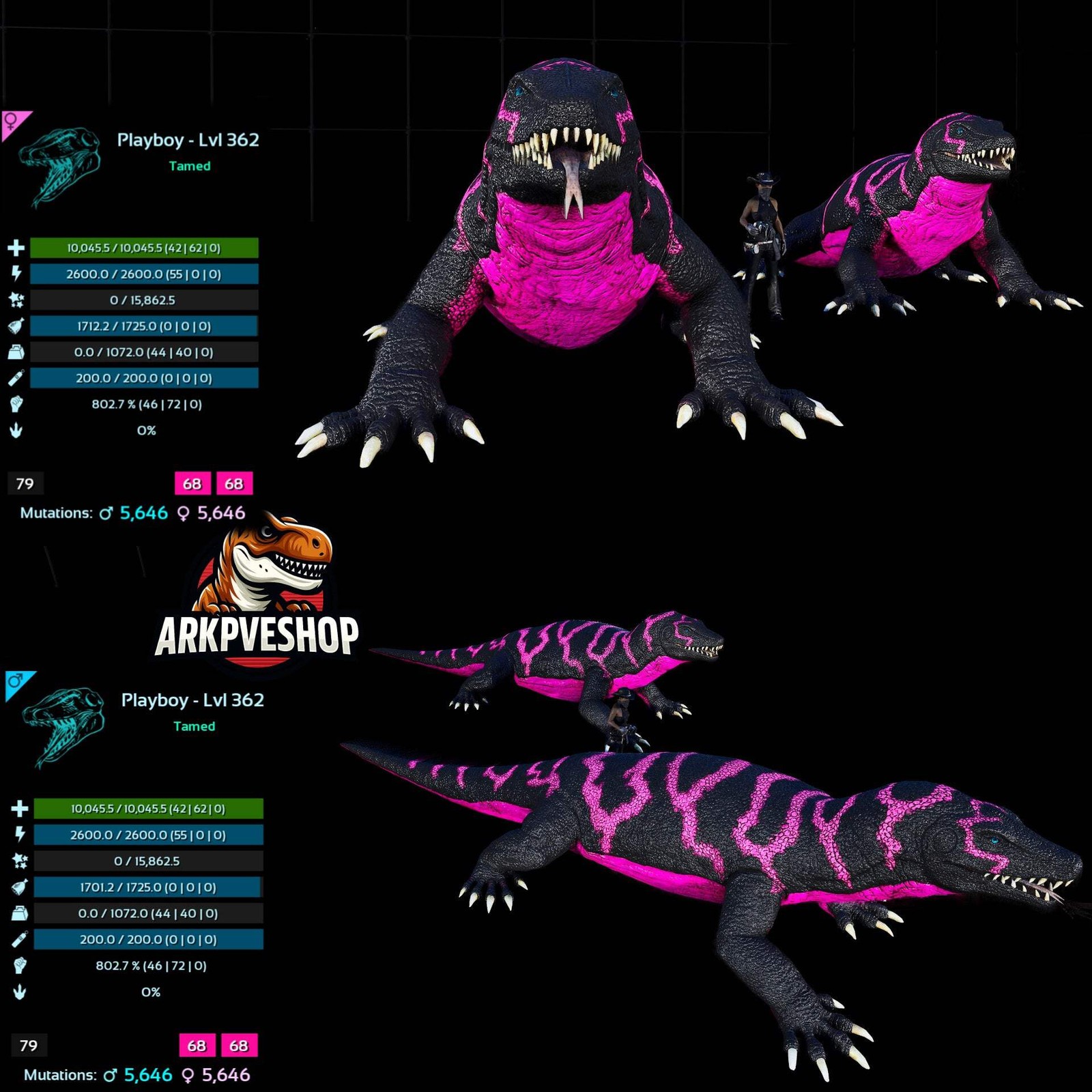 ASA PVE 🦖ARK Survival Ascended Megalania 362Lvl toxin utility