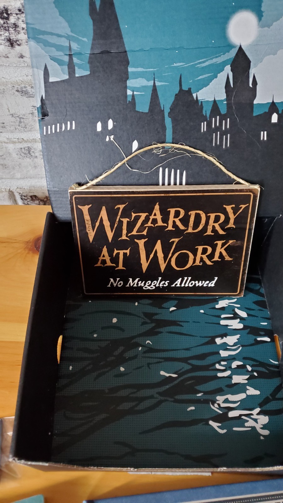 Loot Crate Wizarding World Of HP And Fantastic Beasts Partial Crate As Shown