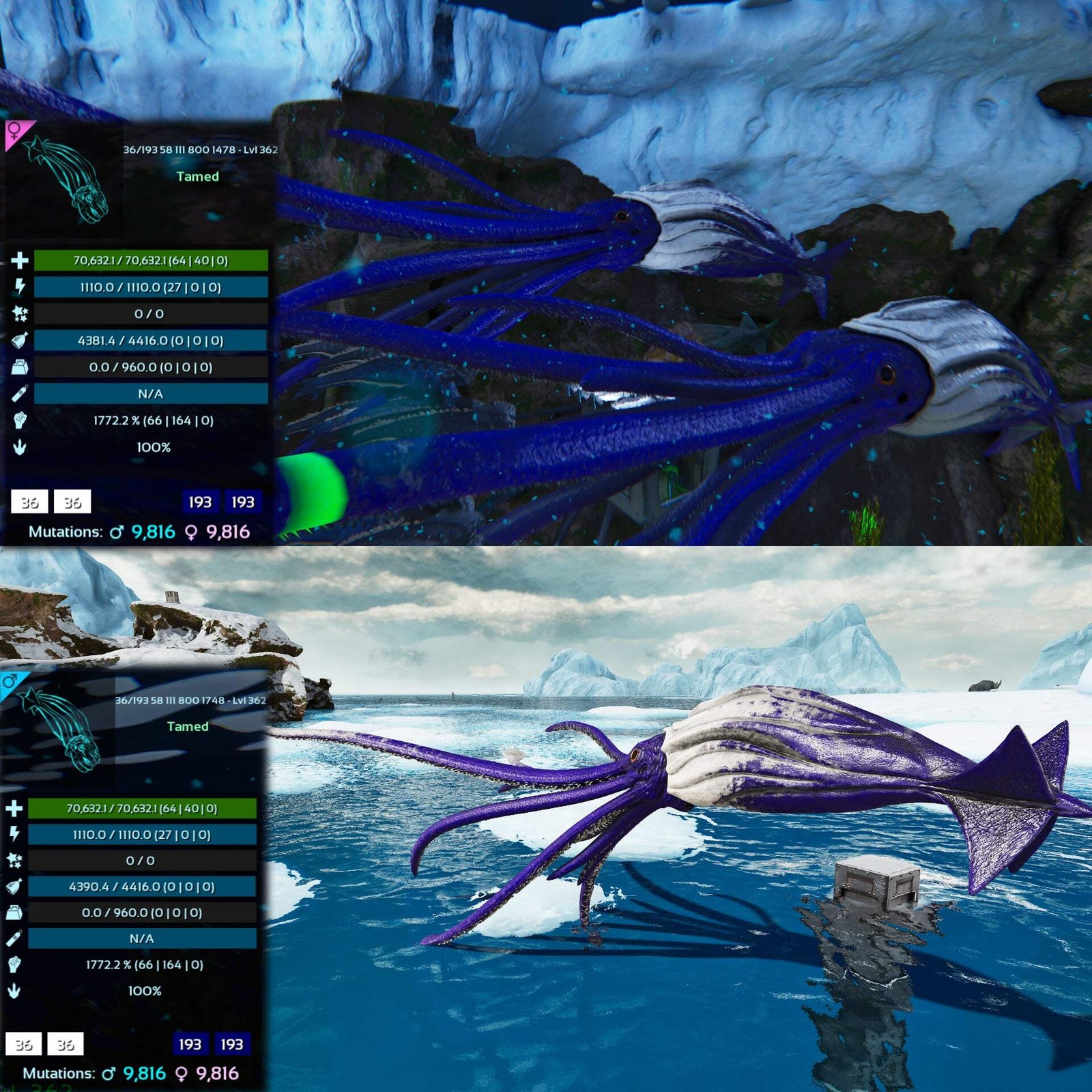 Tuso ASA PVE 🦖ARK Survival Ascended Tusoteuthis 1772%Melee Imprinted