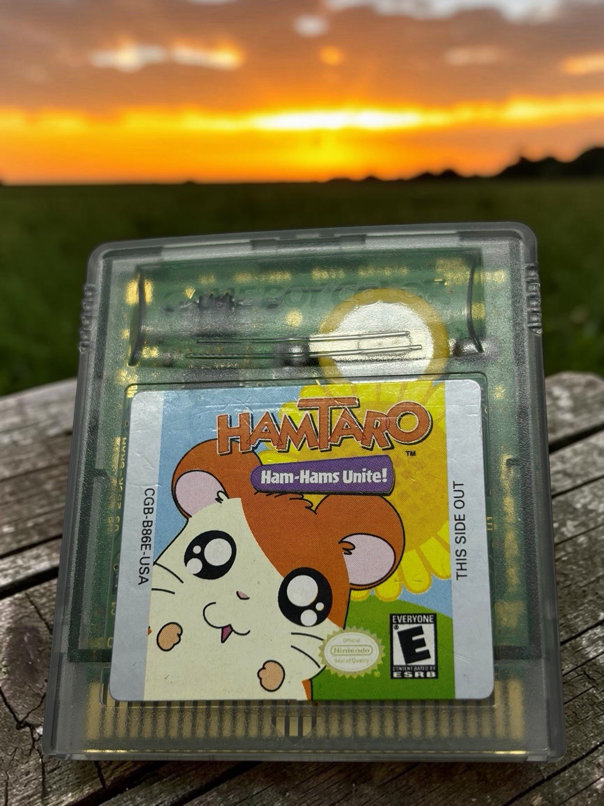 Hamtaro: Ham-Hams Unite (Nintendo Game Boy Color-GBC-TESTED-NEW BATTERY-NICE!!