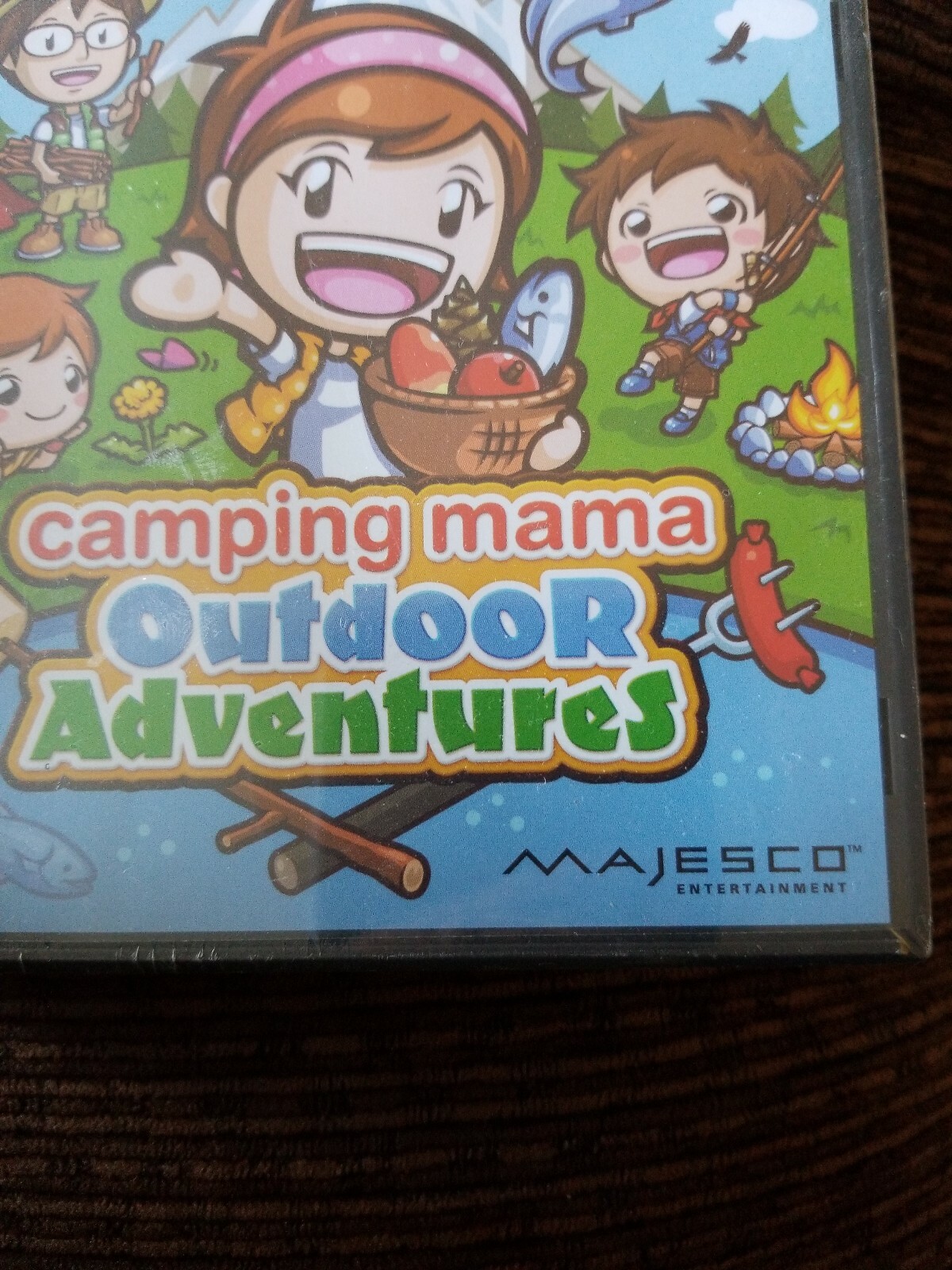 New Nintendo Ds Camping Mama Outdoor Adventures