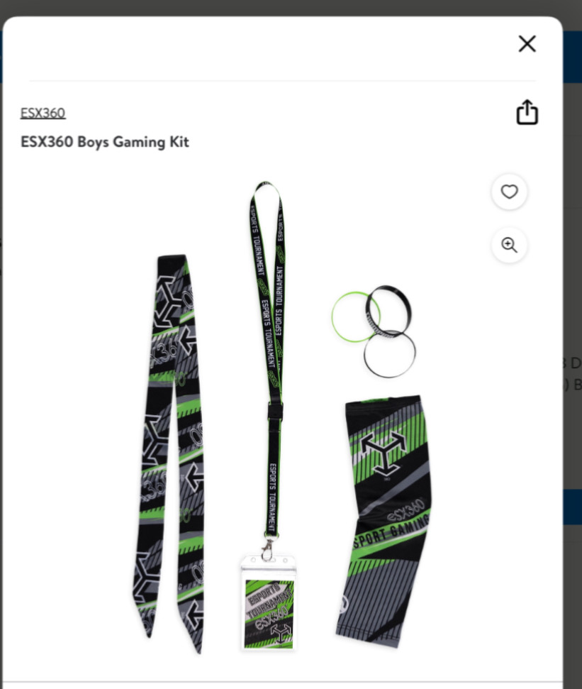 ESX 360 Cyber Game Starter Pack Headband,Bracelet,Lanyard,Sleeve