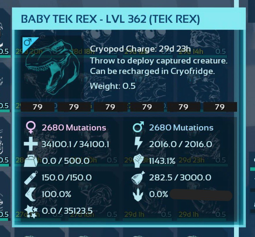 TOP TEK REX BLACK ID79 BABY PAIR ARK ASCENDED PVE. PC/XBOX/PS5.