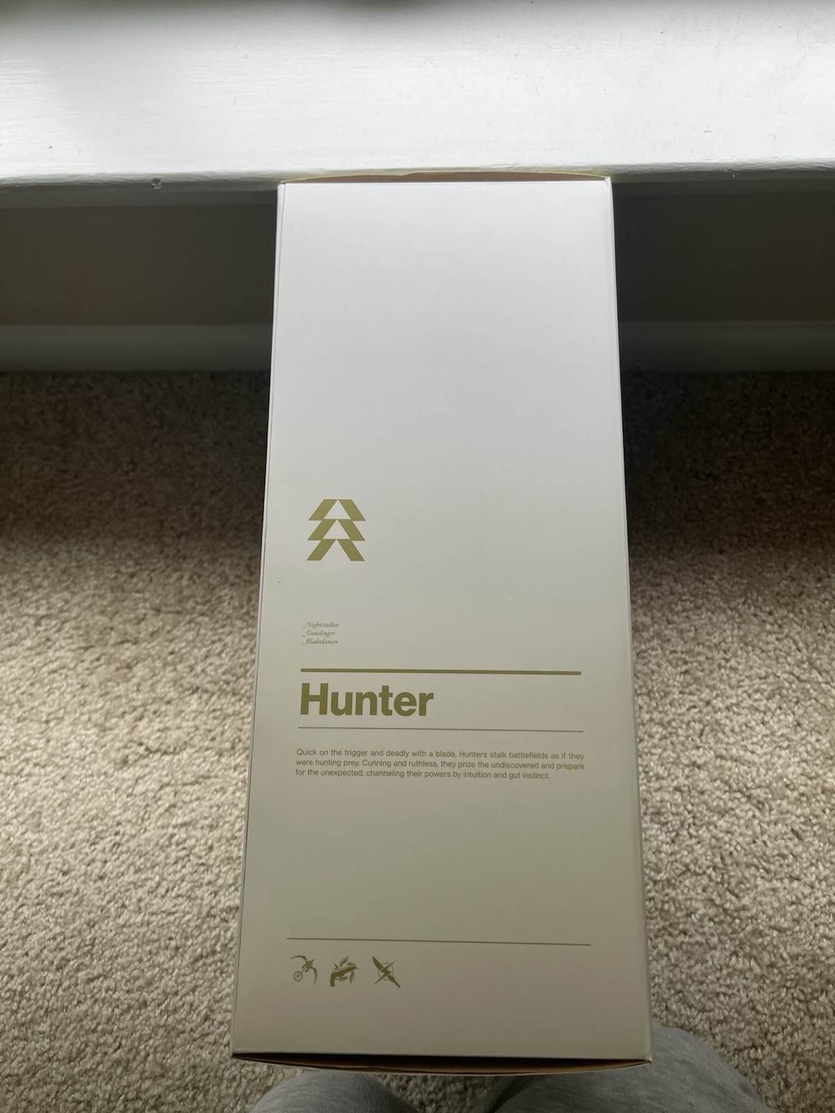 Destiny Hunter Collectible Action Figure Boxed w/ Accessories Weapons Alt Hands