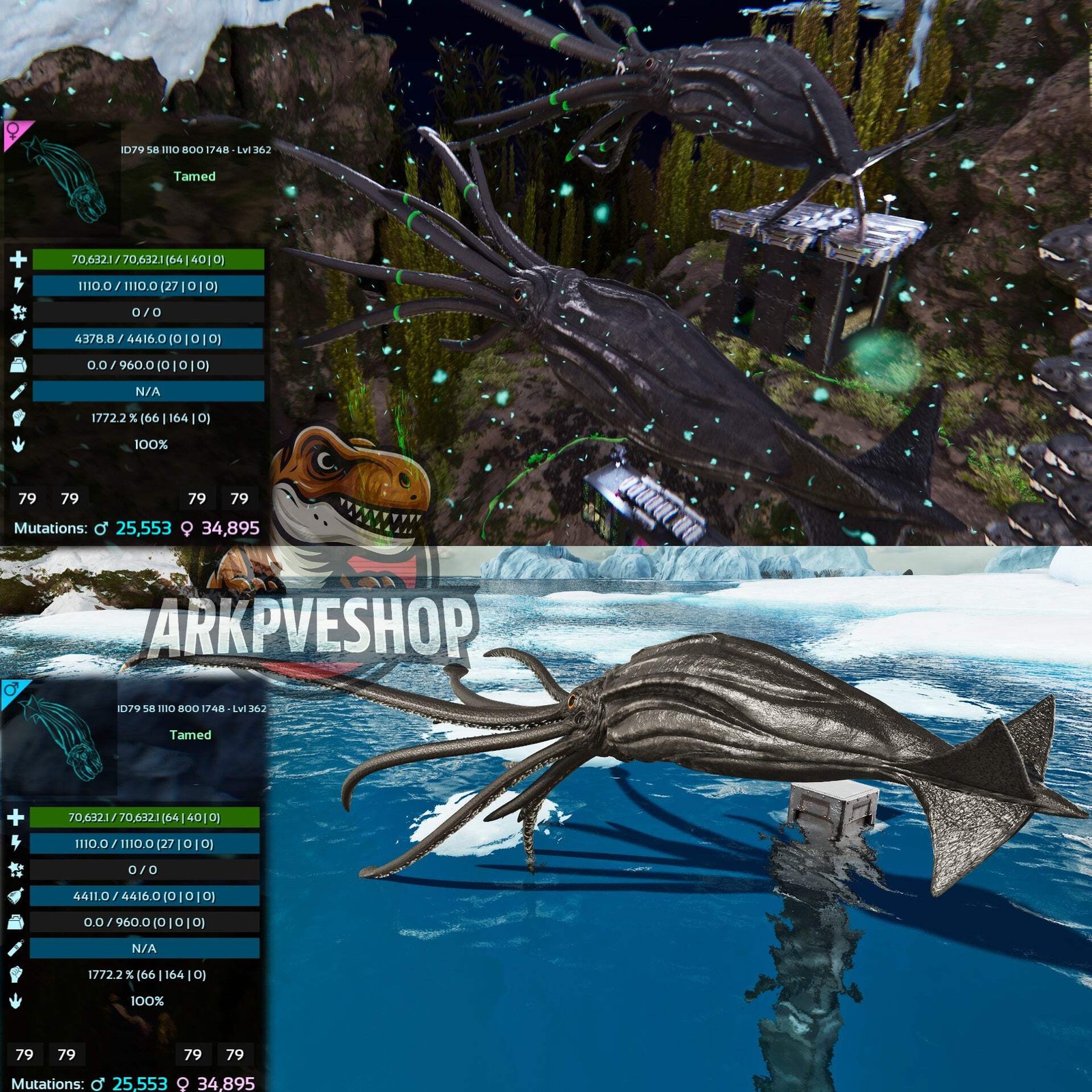 Tuso ASA PVE 🦖ARK Survival Ascended Tusoteuthis 1772%Melee Imprinted