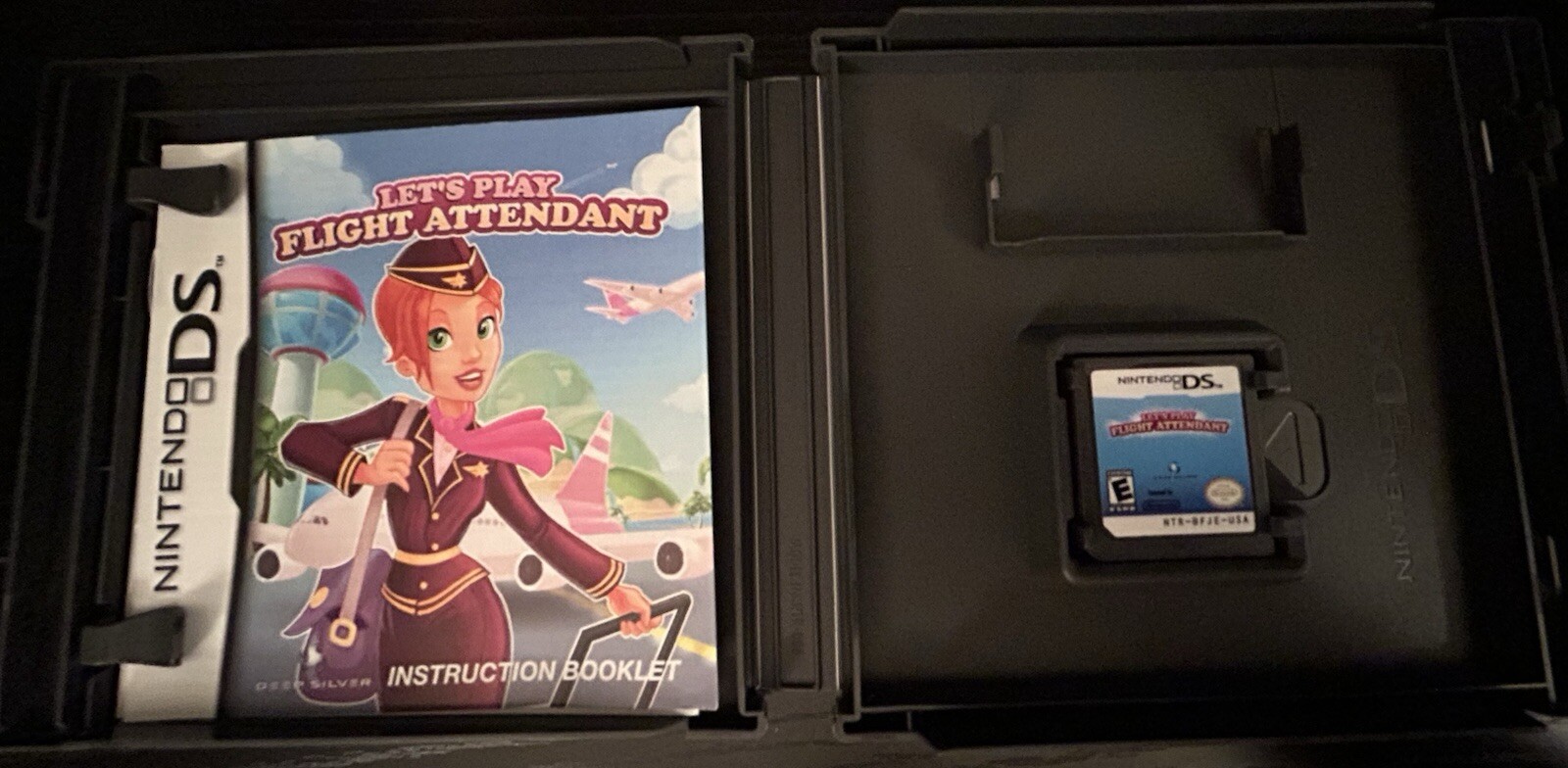 Nintendo DS Lets Play Flight Attendant Game