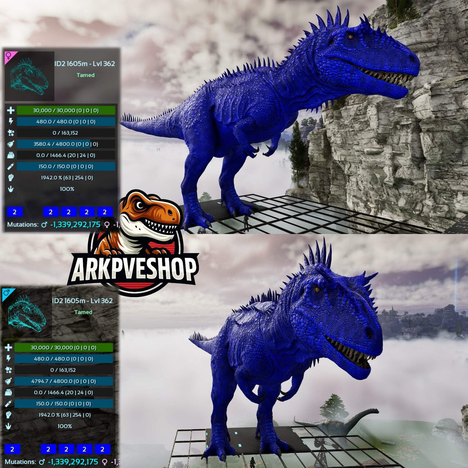 ASA PVE 🦖ARK Survival Ascended Carcharodontosaurus Carcha 1942%melee Imprinted