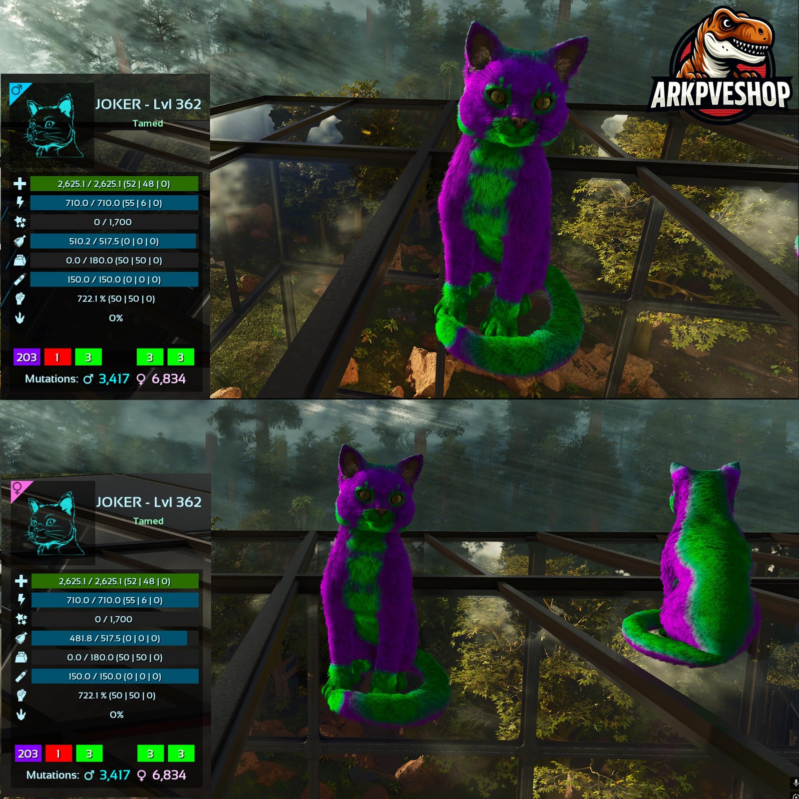 ASA PVE 🦖ARK Survival Ascended Cat / Cats Event Colours Top Stats 722Melee