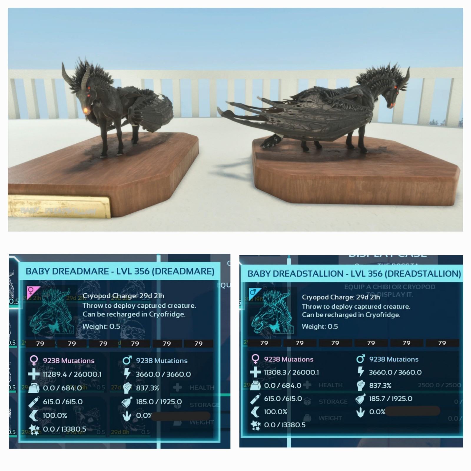 ARK ASA PVE OFFICIAL PAIR BABY DREADMARE BLACK ID79 TOP STATUS 26KHP 837 MELEE