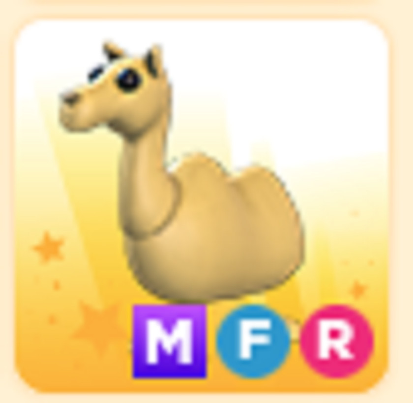 Mega Neon Fly Ride MFR/NFR/FR | Adopt right now