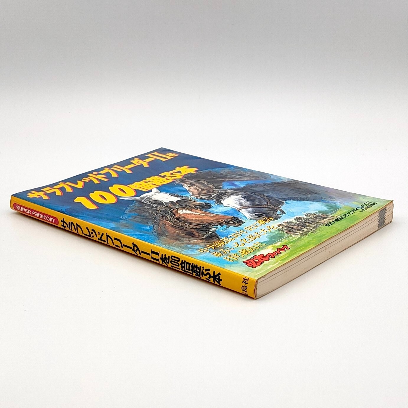 Thoroughbred Breeder 2 A book to play 100 times Guide Nintendo Super Famicom SFC