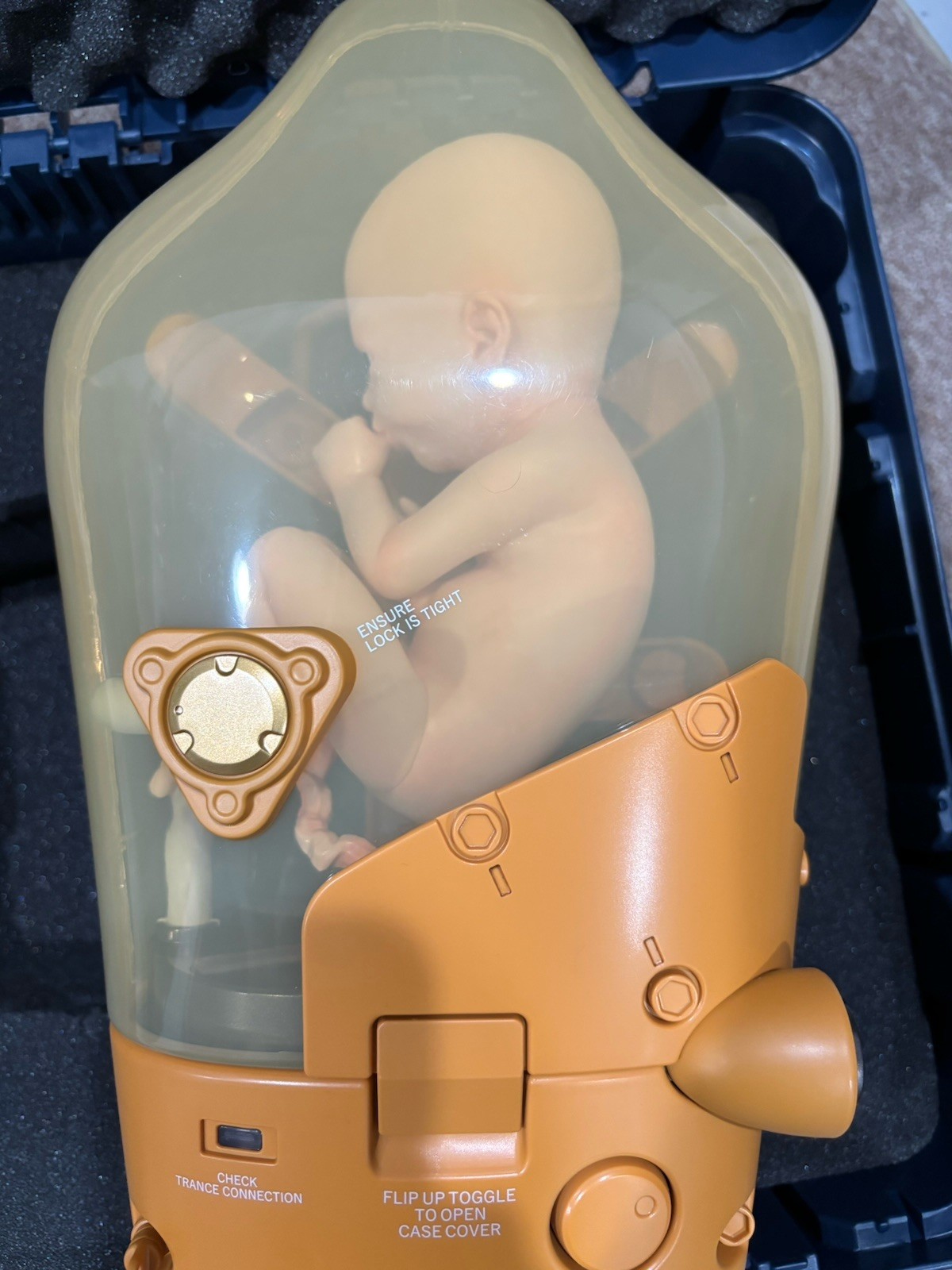 Death Stranding Collector’s Edition (PS4) BB Pod, Case, Tape & Mini Fig Read