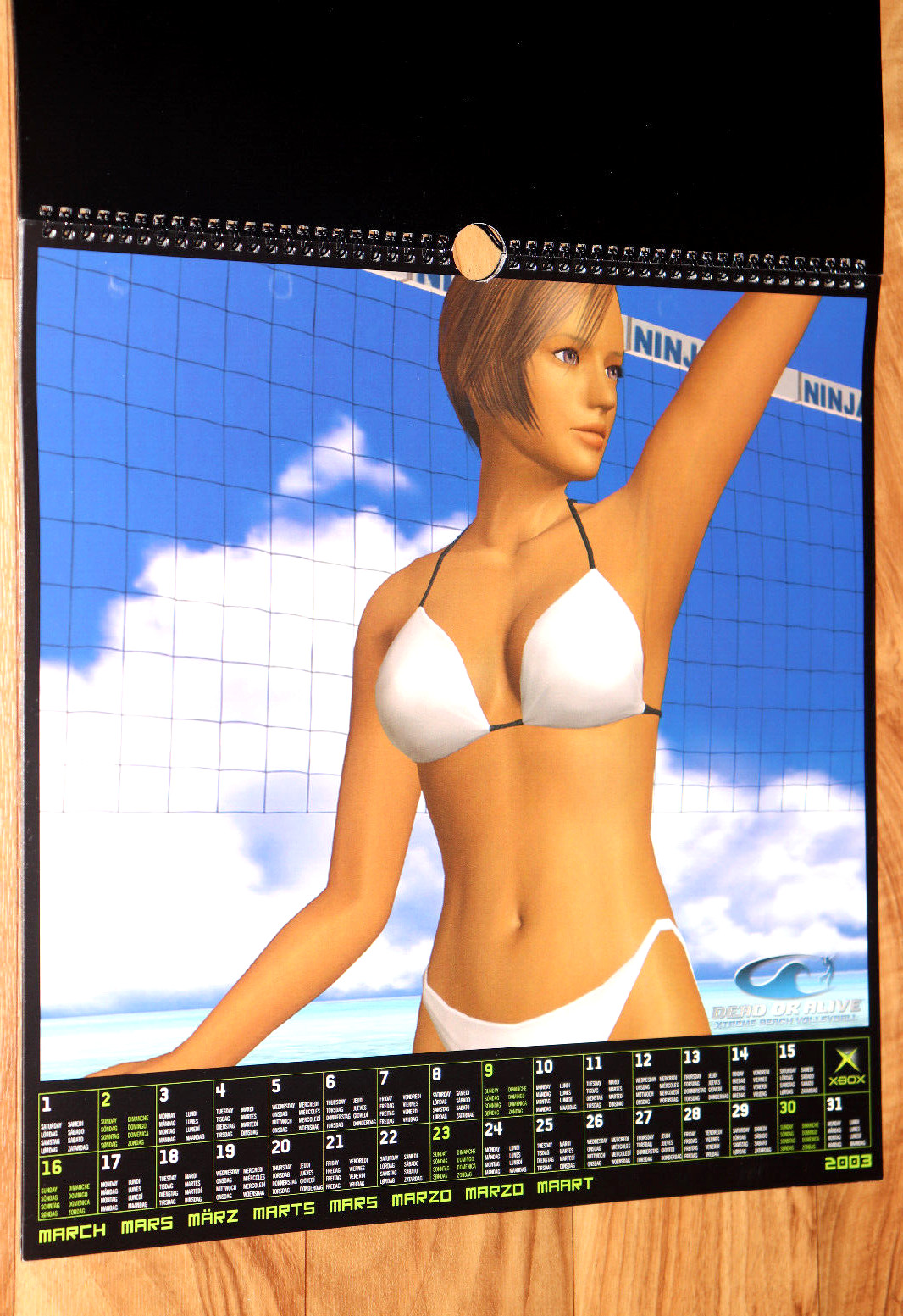 2003 Dead or Alive Xtreme Beach Volleyball Very Rare Calendar Collectible