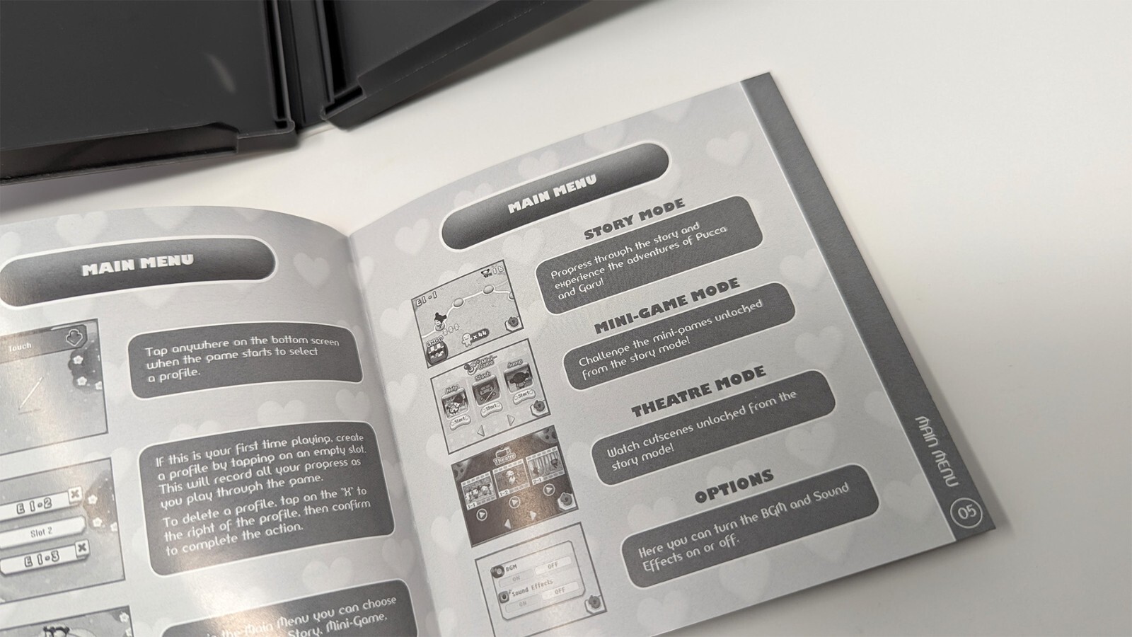Pucca Power Up (DS) Case + Manual (No Game)