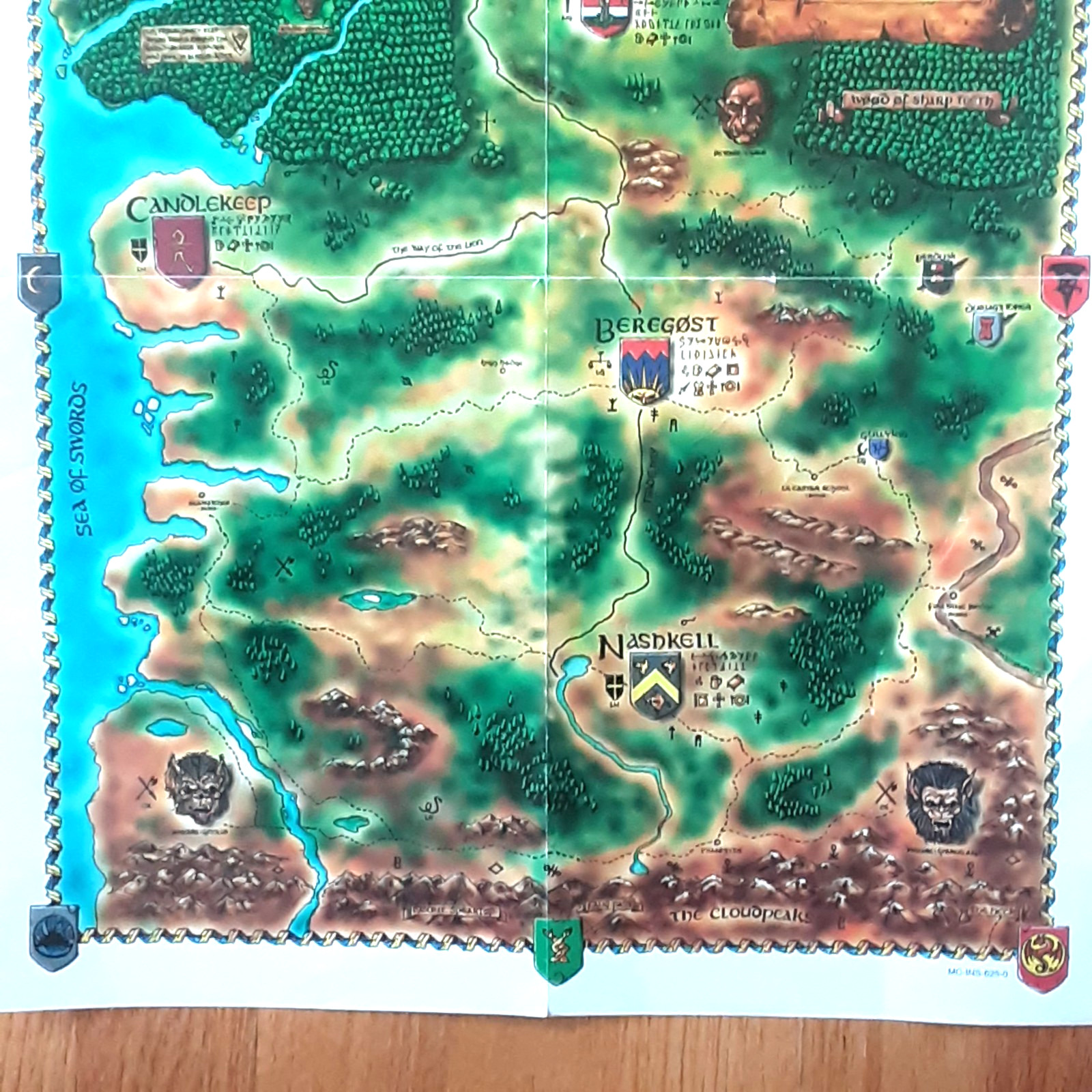 BALDUR ’S GATE SWORD COAST MAP FOLD OUT POSTER INSERT FOLDED
