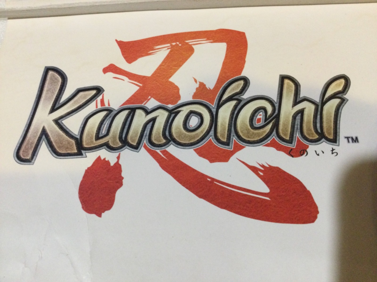 NIGHTSHADE PS2 Promo Poster SHINOBI KUNOICHI PlayStation 2 SEGA 2003 RARE