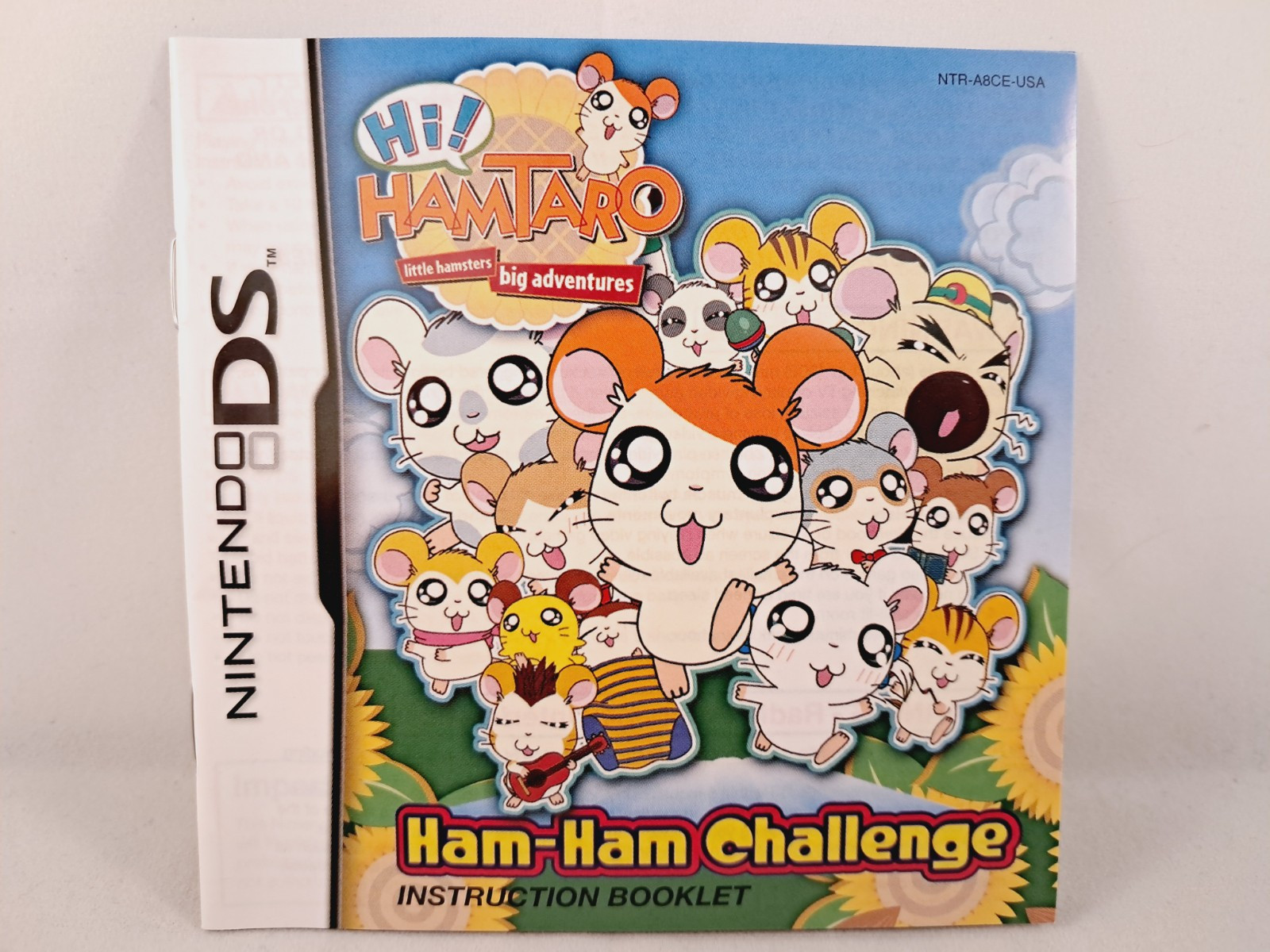 Hi! Hamtaro Ham Ham Challenge (Natsume, Nintendo DS) MINTY Excellent Condition!!