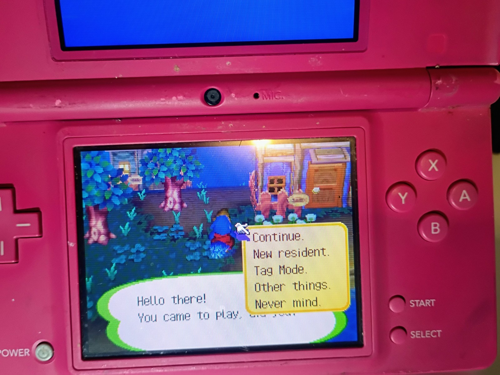 Animal Crossing: Wild World (Nintendo DS, 2005) Authentic + Tested Complete Cib