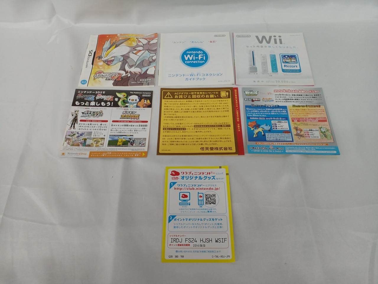 NINTENDO / Nintendo TWL-P-IRDJ Pokemon White 2 software DS