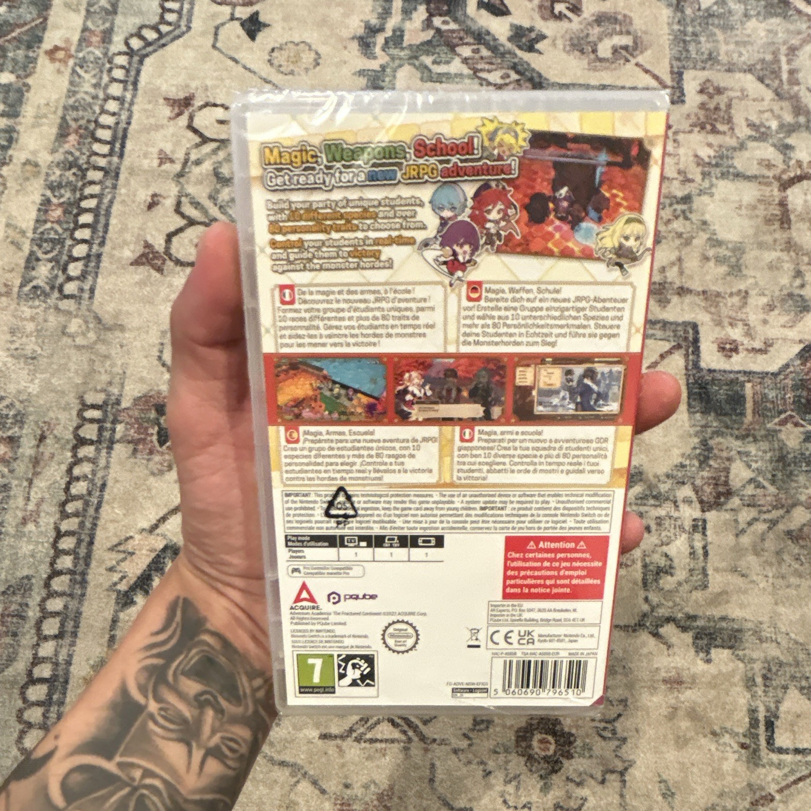 PQube Adventure Academia: The Fractured Continent Nintendo Switch PEGI 7 PAL