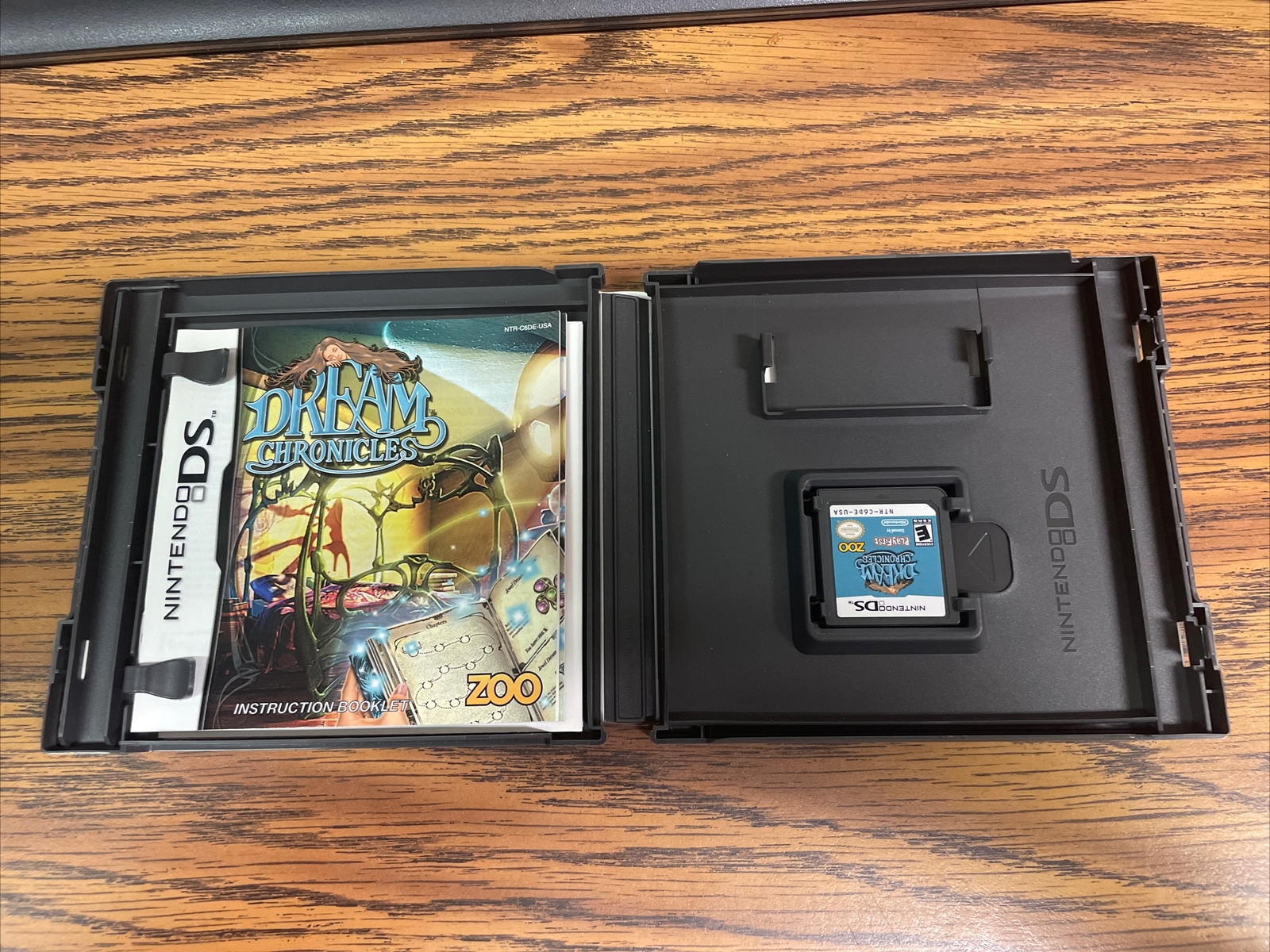 Dream Chronicles (Nintendo DS, 2010)