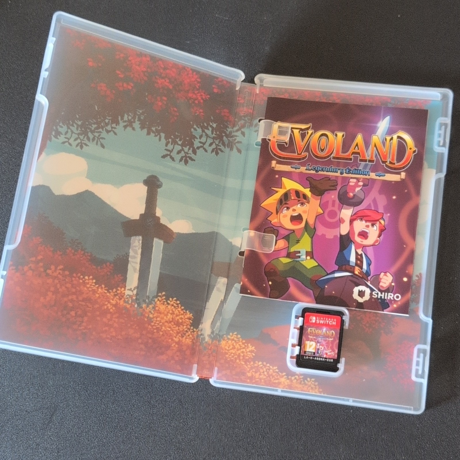 Super Rare Games Evoland Legendary Edition Switch PAL PEGI 12 Manual