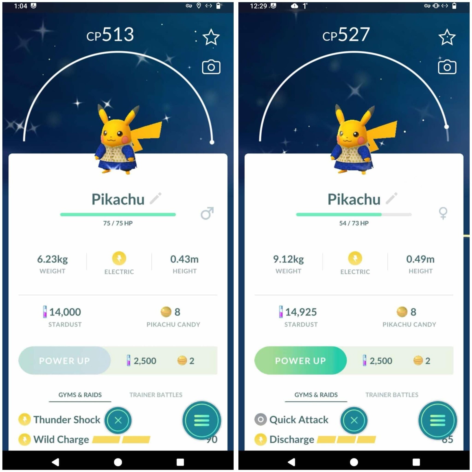 – Shiny Pikachu wearing a kurta – P T C – Description
