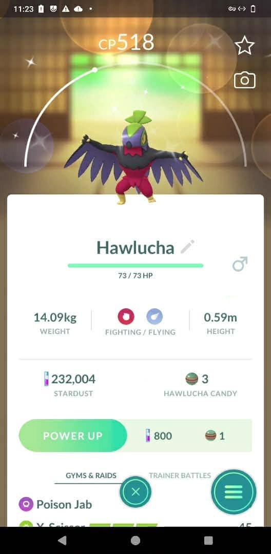 Pokémon Shiny Hawlucha – GO Read description