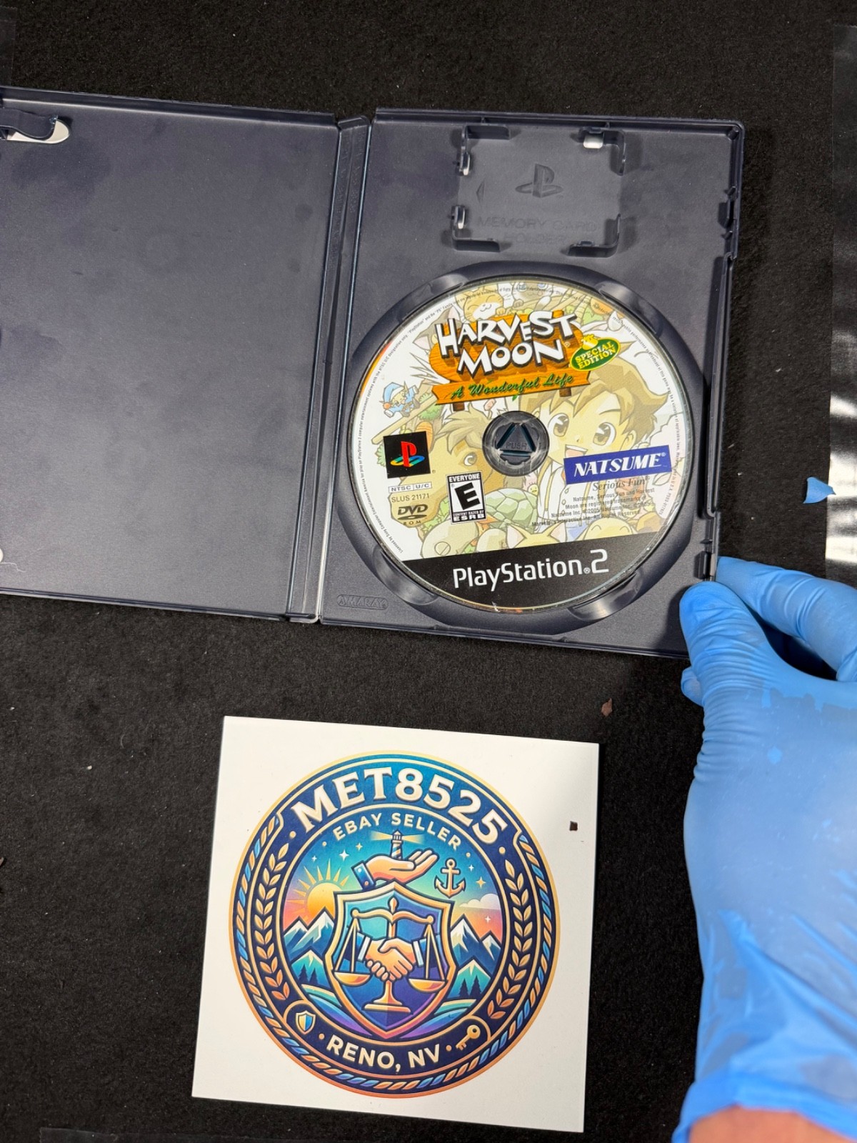 Harvest Moon A Wonderful Life: AS IS and untested