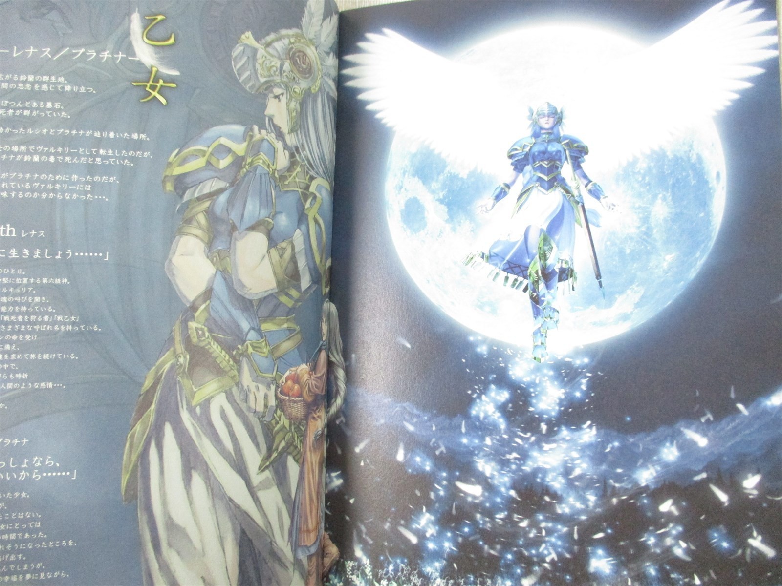 VALKYRIE PROFILE Lenneth Visual Profile Art Book Set 1 & 2 Works PS2 Ltd Booklet
