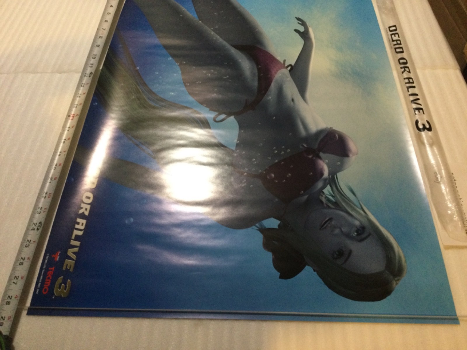DEAD OR ALIVE 3 Limited Promo Poster Display + Bag RARE Xbox Tecmo Itagaki DOA