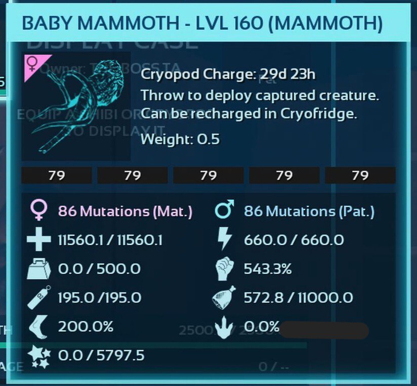 ARK ASCENDED PVE OFFICIAL PAIR BABY MAMUTE BLACK ID79 TOP STATUS PC/XBOX/PS5