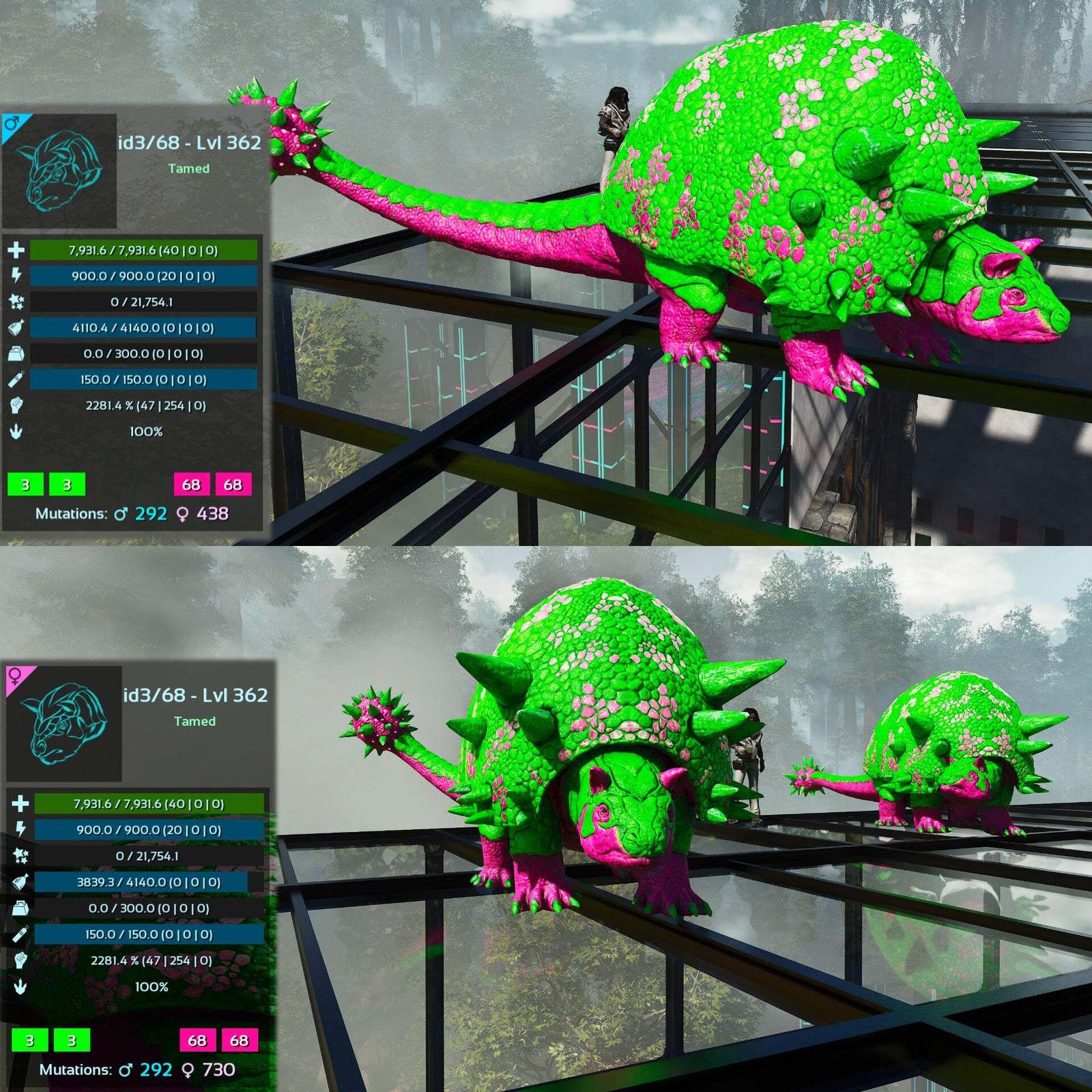 ASA PVE 🦖ARK Survival Ascended Aberrant Doedicurus Doedi 2281.4%Melee Top